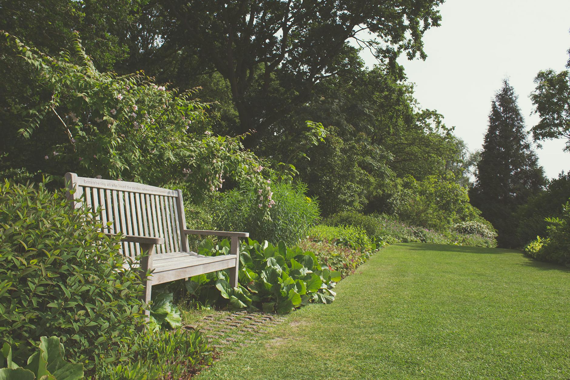 gray wooden bench surrounded by green grass trees